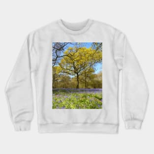 Bluebell Wood Crewneck Sweatshirt